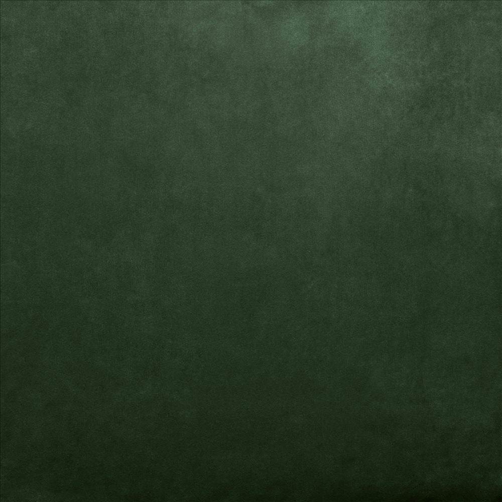 Fr Savor Moss  by Kasmir Fabric See sample 100% Polyester
 CHINA  </p><p>Repeat: Horizontal: N/A and Vertical: N/A 58  - Fabric Carolina -