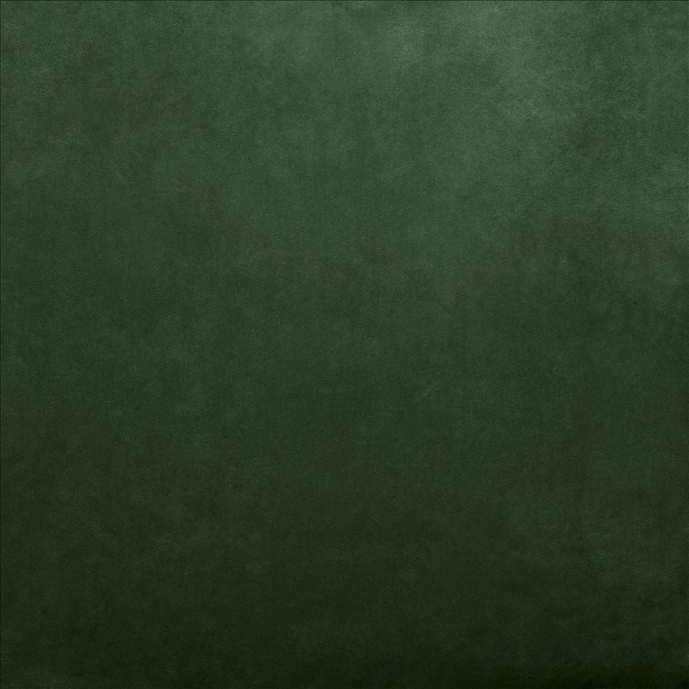 Fr Savor Moss by Kasmir Fabric 5151 100% Polyester
 CHINA </p><p>Repeat: Horizontal: N/A and Vertical: N/A 58 - Fabric Carolina -
