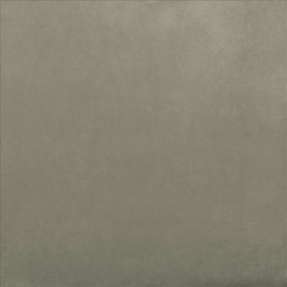 Fr Savor Nickel  by Kasmir Fabric See sample 100% Polyester
 CHINA  </p><p>Repeat: Horizontal: N/A and Vertical: N/A 58  - Fabric Carolina -