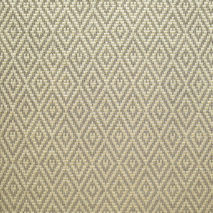 Fractal Travertine by Kasmir Fabric 1462 55% Rayon
45% Polyester
 CHINA </p><p>Repeat: Horizontal: 2 inches and Vertical: 3 5/8 inches 59 - Fabric Carolina -