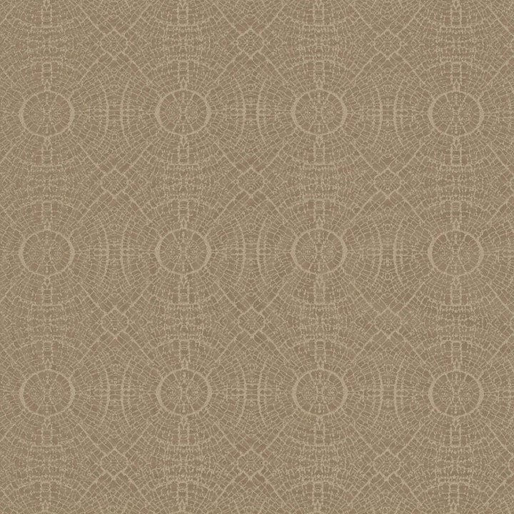 Fracture Beige by Kasmir Fabric 5110 100% Polyester INDIA 42,000 Wyzenbeek Double Rubs H: 4 4/8 inches, V:4 4/8 inches 56 - Fabric Carolina - Kasmir
