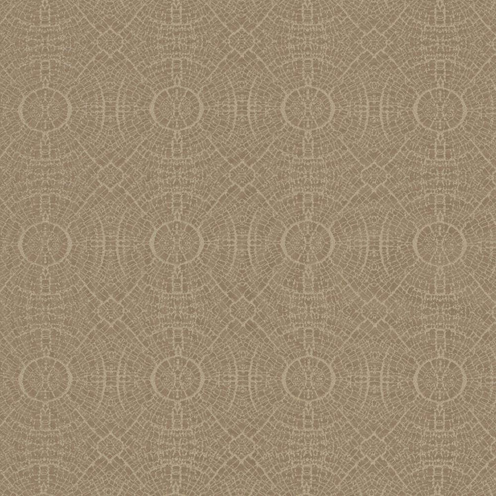 Fracture Beige by Kasmir Fabric 5110 100% Polyester
 INDIA </p><p>Repeat: Horizontal: 4 4/8 inches and Vertical: 4 4/8 inches 56 - Fabric Carolina -