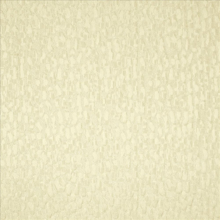 Fragments Cloud by Kasmir Fabric 5119 100% Polyester INDIA 25,000 Wyzenbeek Double Rubs Horizontal: 0 Inches and Vertical: 0 Inches 55 - Fabric Carolina -