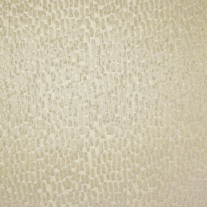 Fragments Eggshell by Kasmir Fabric 5119 100% Polyester
 INDIA </p><p>Repeat: Horizontal: N/A and Vertical: N/A 53 - Fabric Carolina -