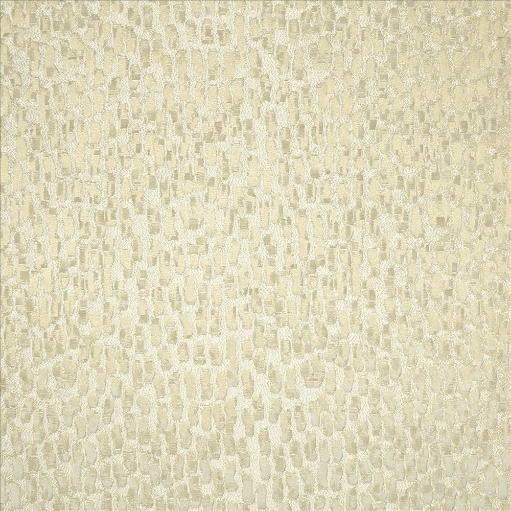 Fragments Marble by Kasmir Fabric 5119 100% Polyester
 INDIA </p><p>Repeat: Horizontal: N/A and Vertical: N/A 55 - Fabric Carolina -