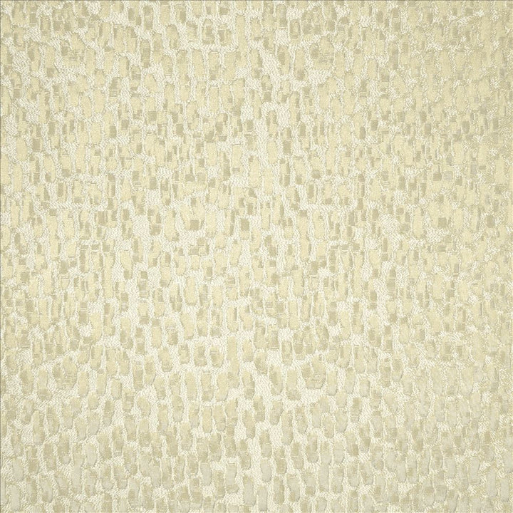 Fragments Marble by Kasmir Fabric 5119 100% Polyester
 INDIA </p><p>Repeat: Horizontal: N/A and Vertical: N/A 55 - Fabric Carolina -