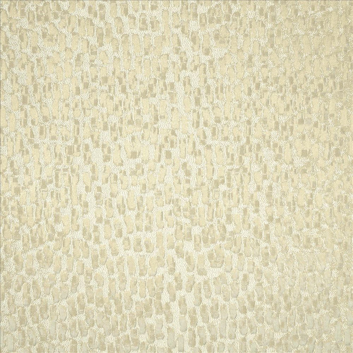Fragments Marble by Kasmir Fabric 5119 100% Polyester
 INDIA 25,000 Wyzenbeek Double Rubs Horizontal: N/A and Vertical: N/A 55 - Fabric Carolina -