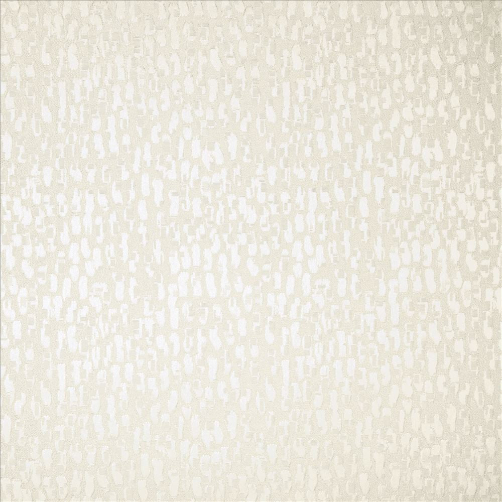 Fragments White by Kasmir Fabric 5119 100% Polyester
 INDIA </p><p>Repeat: Horizontal: N/A and Vertical: N/A 55 - Fabric Carolina -