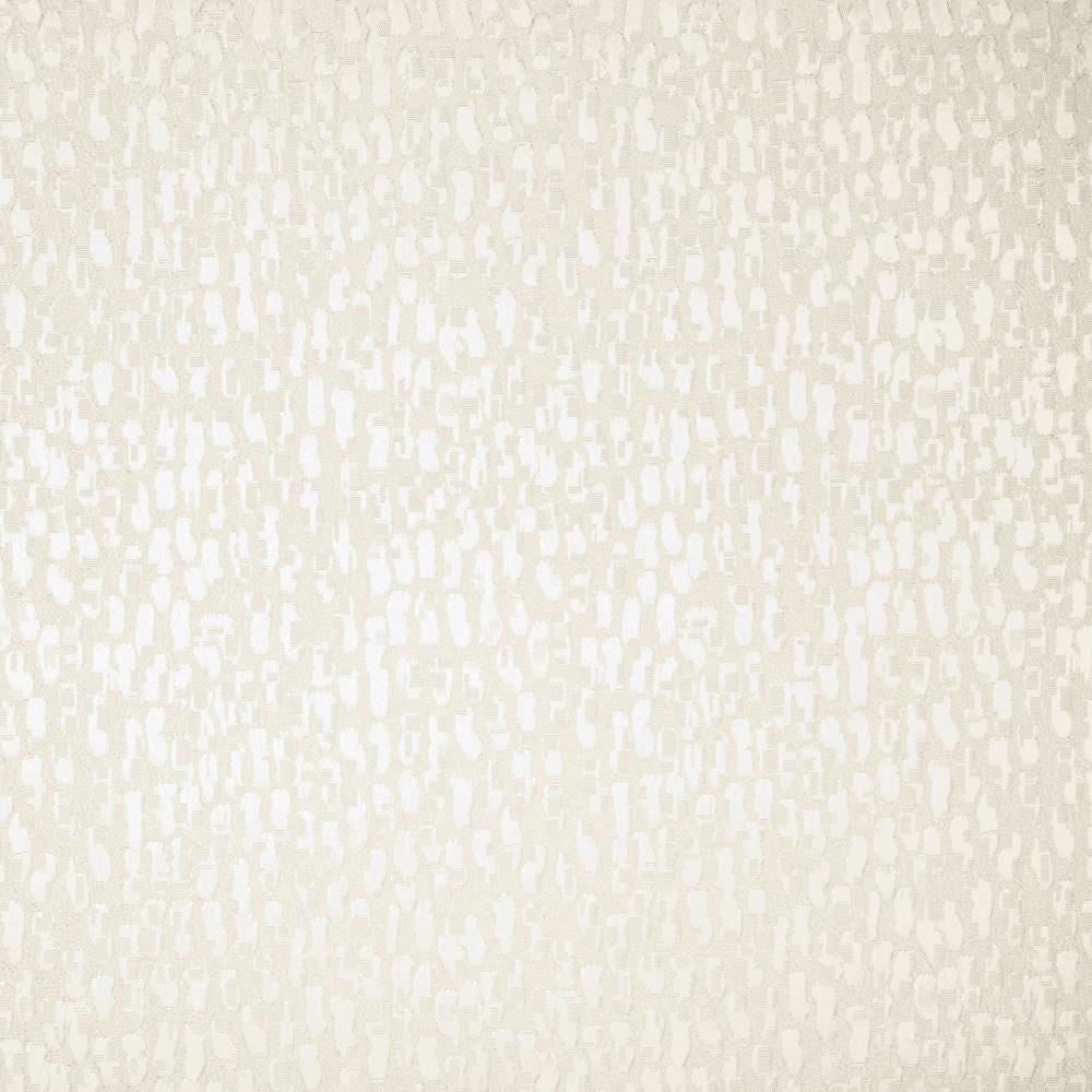 Fragments White by Kasmir Fabric 5119 100% Polyester
 INDIA </p><p>Repeat: Horizontal: N/A and Vertical: N/A 53 - Fabric Carolina -