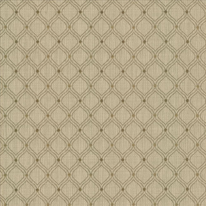 Frankfurt Sesame by Kasmir Fabric 5122 46% Polyester
41% Cotton
13% Acrylic
 TURKEY </p><p>Repeat: Horizontal: 1 6/8 inches and Vertical: 2 3/8 inches 54 - Fabric Carolina -