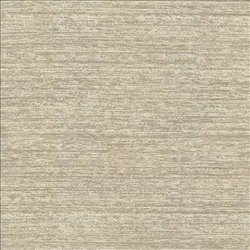 Freeport Texture Desert by Kasmir Fabric 5066 72% Polyester 16% Cotton 12% Rayon INDIA 30,000 Wyzenbeek Double Rubs H: N/A, V: N/A 54 - 55 - Fabric Carolina - Kasmir