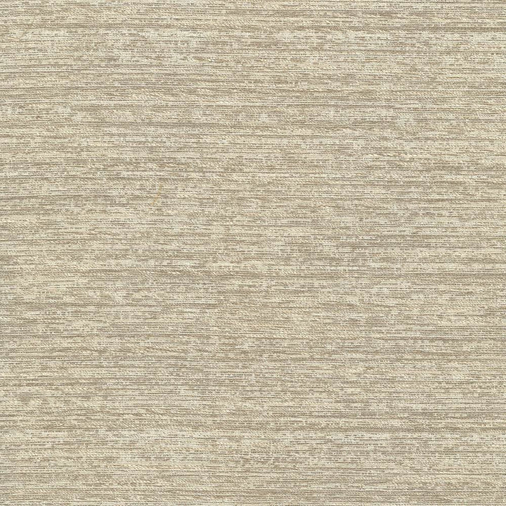 Freeport Texture Desert by Kasmir Fabric 5066 72% Polyester 16% Cotton 12% Rayon INDIA 30,000 Wyzenbeek Double Rubs Horizontal: 0 Inches and Vertical: 0 Inches 54 - 55 - Fabric Carolina -