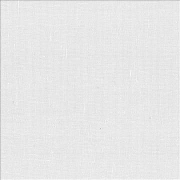 French Laundry Ivory by Kasmir Fabric 5035 100% Linen INDIA Not Tested H: N/A, V: N/A 54 - 55 - Fabric Carolina - Kasmir