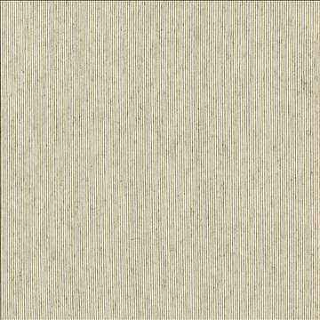 Fresh Suit Birch by Kasmir Fabric 5122 56% Polyester 40% Rayon 4% Flax USA 15,000 Wyzenbeek Double Rubs H: N/A, V: N/A 54 - Fabric Carolina - Kasmir
