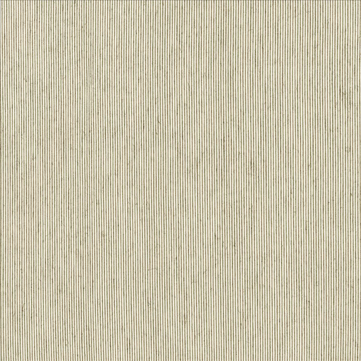Fresh Suit Birch by Kasmir Fabric 5122 56% Polyester
40% Rayon
4% Flax
 USA </p><p>Repeat: Horizontal: N/A and Vertical: N/A 54 - Fabric Carolina -