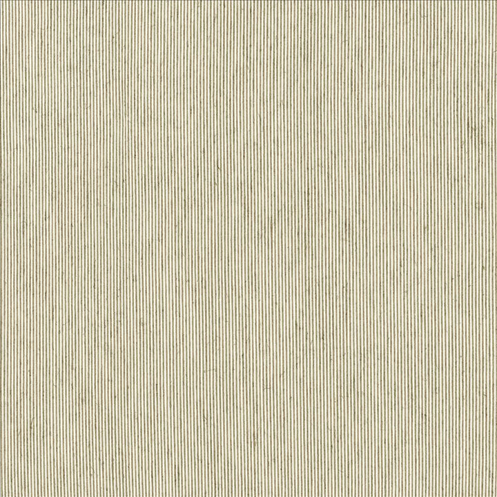 Fresh Suit Birch by Kasmir Fabric 5122 56% Polyester
40% Rayon
4% Flax
 USA 15,000 Wyzenbeek Double Rubs Horizontal: N/A and Vertical: N/A 54 - Fabric Carolina -