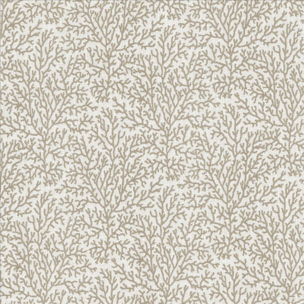 Freshwater Fog by Kasmir Fabric 5123 37% Cotton
36% Polyester
27% Viscose
 INDIA </p><p>Repeat: Horizontal: 7 inches and Vertical: 8 6/8 inches 56 - Fabric Carolina -