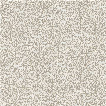 Freshwater Fog by Kasmir Fabric 5123 37% Cotton 36% Polyester 27% Viscose INDIA 46,000 Martindale Cycles H: 7 inches, V: 8 6/8 inches 56 - Fabric Carolina - Kasmir