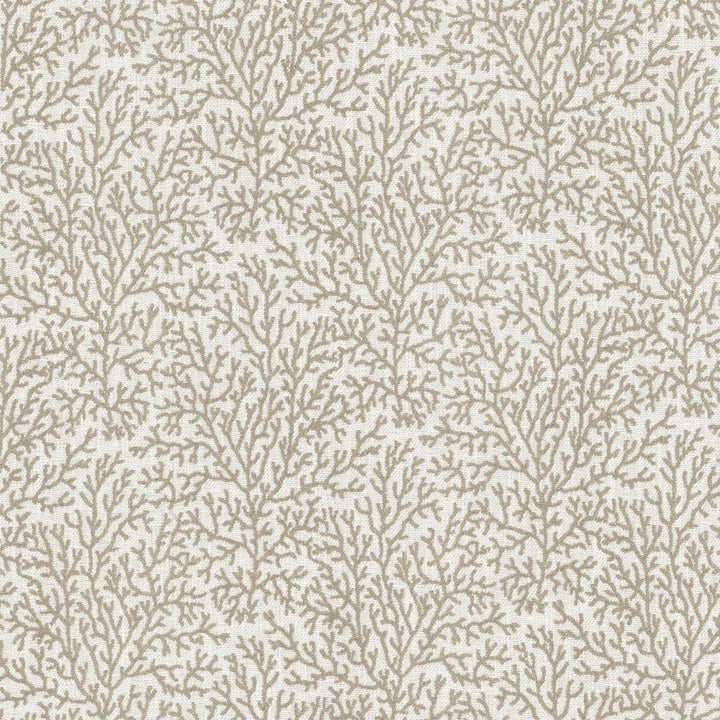 Freshwater Fog by Kasmir Fabric 5123 37% Cotton
36% Polyester
27% Viscose
 INDIA </p><p>Repeat: Horizontal: 7 inches and Vertical: 8 6/8 inches 53 - Fabric Carolina -