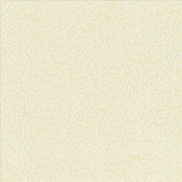 Freshwater Ivory by Kasmir Fabric 5122 37% Cotton
36% Polyester
27% Viscose
 INDIA </p><p>Repeat: Horizontal: 7 inches and Vertical: 8 6/8 inches 56 - Fabric Carolina -