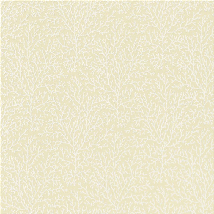 Freshwater Ivory by Kasmir Fabric 5122 37% Cotton 36% Polyester 27% Viscose INDIA 46,000 Martindale Cycles Horizontal: 7 inches and Vertical: 8 6/8 inches 56 - Fabric Carolina -