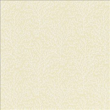Freshwater Ivory by Kasmir Fabric 5122 37% Cotton 36% Polyester 27% Viscose INDIA 46,000 Martindale Cycles H: 7 inches, V: 8 6/8 inches 56 - Fabric Carolina - Kasmir