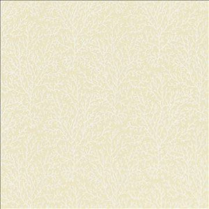 Freshwater Ivory by Kasmir Fabric