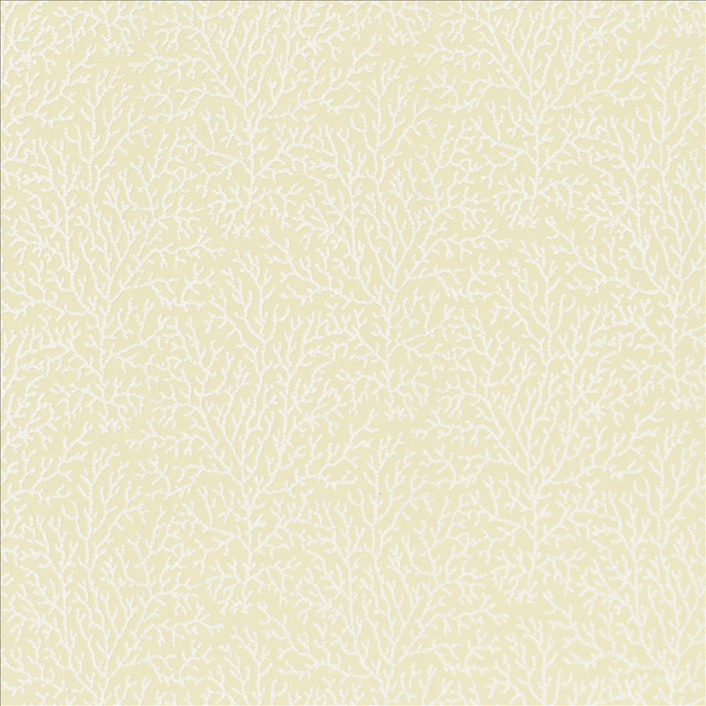 Freshwater Ivory by Kasmir Fabric 5122 37% Cotton
36% Polyester
27% Viscose
 INDIA </p><p>Repeat: Horizontal: 7 inches and Vertical: 8 6/8 inches 56 - Fabric Carolina -