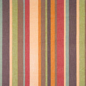 Front Runner Tapestry by Kasmir Fabric