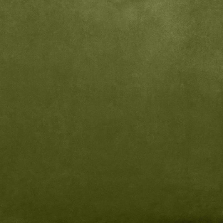 Fr Savor Basil by Kasmir Fabric 5151 100% Polyester
 CHINA </p><p>Repeat: Horizontal: N/A and Vertical: N/A 58 - Fabric Carolina -