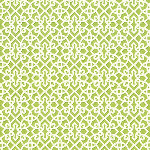 Fuerte Spring by Kasmir Fabric