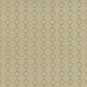 Full Circle Sterling by Kasmir Fabric