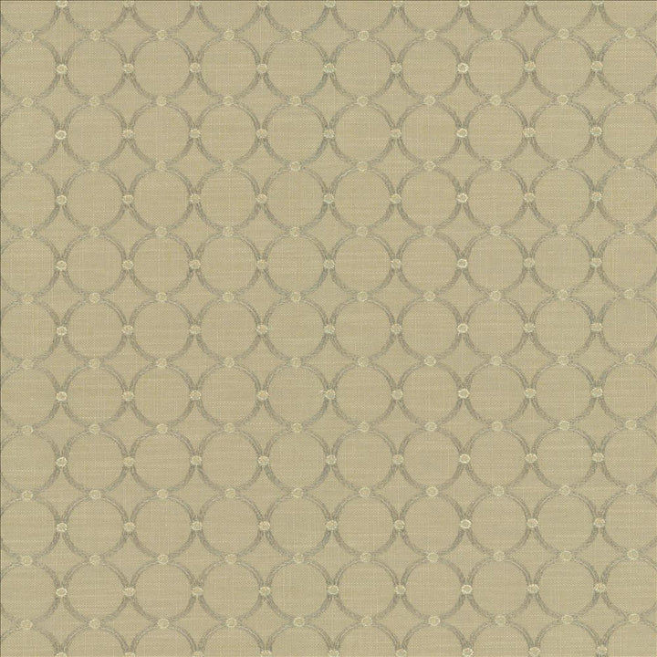 Full Circle Sterling by Kasmir Fabric 5144 100% Cotton
 INDIA 12,000 Wyzenbeek Double Rubs Horizontal: 1 4/8 inches and Vertical: 1 4/8 inches 57 - Fabric Carolina -