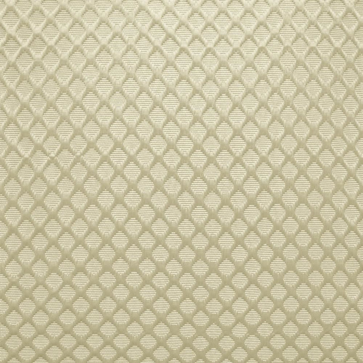 Gaineswood Silver by Kasmir Fabric 5147 100% Polyester
 INDIA </p><p>Repeat: Horizontal: 1 1/8 inches and Vertical: 1 2/8 inches 54 - Fabric Carolina -