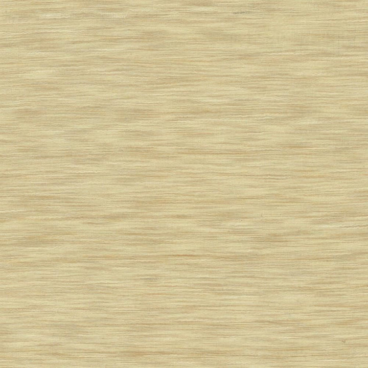 Gainsford Beige by Kasmir Fabric 5140 75% Polyester
25% Viscose
 INDIA </p><p>Repeat: Horizontal: N/A and Vertical: N/A 54 - Fabric Carolina -