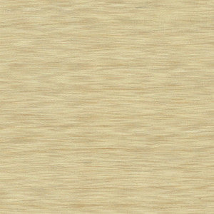 Gainsford Beige by Kasmir Fabric