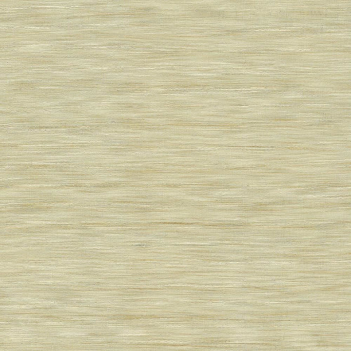 Gainsford Cloud by Kasmir Fabric 5140 75% Polyester
25% Viscose
 INDIA </p><p>Repeat: Horizontal: N/A and Vertical: N/A 54 - Fabric Carolina -