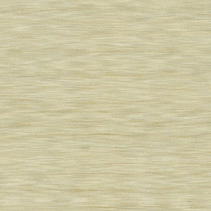 Gainsford Cloud by Kasmir Fabric