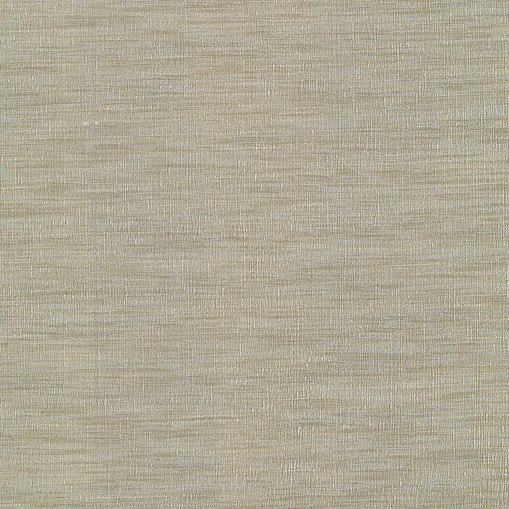 Gainsford Driftwood by Kasmir Fabric 1313 75% Polyester 25% Viscose INDIA Not Tested H: N/A, V:N/A 54 - Fabric Carolina - Kasmir