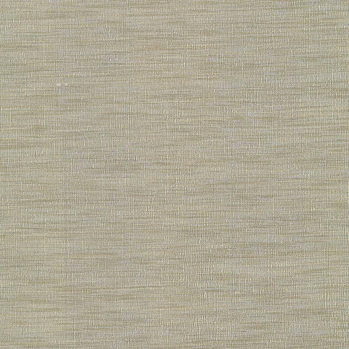 Gainsford Driftwood by Kasmir Fabric 1313 75% Polyester 25% Viscose INDIA Not Tested H: N/A, V:N/A 54 - Fabric Carolina - Kasmir