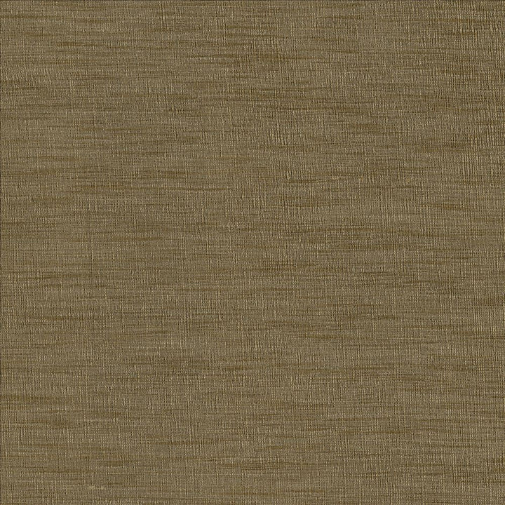 Gainsford Driftwood by Kasmir Fabric 1313 75% Polyester 25% Viscose INDIA Not Tested Horizontal: 0 Inches and Vertical: 0 Inches 54 - Fabric Carolina -