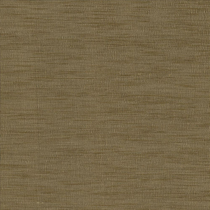 Gainsford Driftwood by Kasmir Fabric 5060 75% Polyester
25% Viscose
 INDIA </p><p>Repeat: Horizontal: N/A and Vertical: N/A 54 - Fabric Carolina -