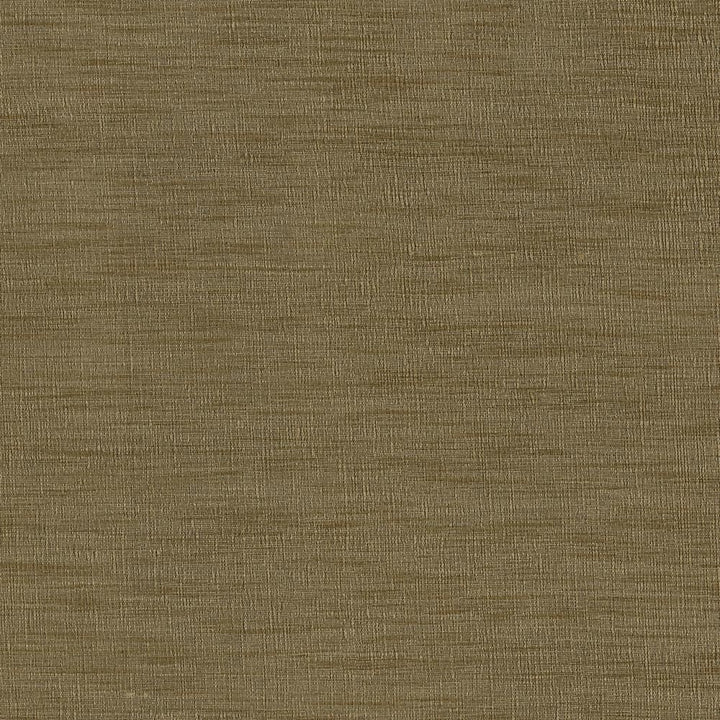Gainsford Driftwood by Kasmir Fabric 5060 75% Polyester
25% Viscose
 INDIA </p><p>Repeat: Horizontal: N/A and Vertical: N/A 54 - Fabric Carolina -