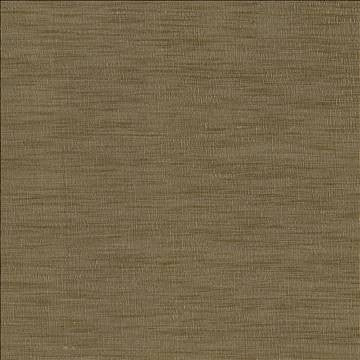 Gainsford Driftwood by Kasmir Fabric 5140 75% Polyester 25% Viscose INDIA Not Tested H: N/A, V: N/A 54 - Fabric Carolina - Kasmir