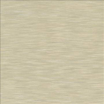 Gainsford Fog by Kasmir Fabric 5140 75% Polyester 25% Viscose INDIA Not Tested H: N/A, V: N/A 54 - Fabric Carolina - Kasmir