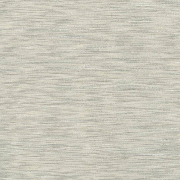 Gainsford Fog by Kasmir Fabric 5060 75% Polyester 25% Viscose INDIA Not Tested H: N/A, V:N/A 54 - Fabric Carolina - Kasmir