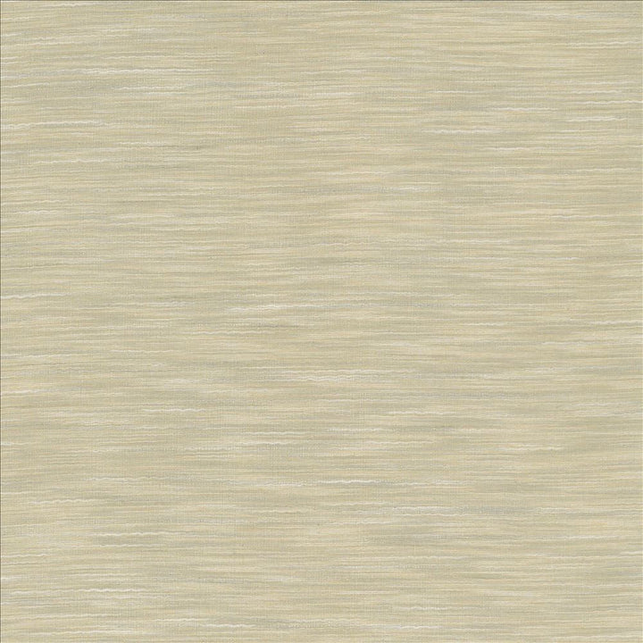 Gainsford Fog by Kasmir Fabric 5060 75% Polyester
25% Viscose
 INDIA Not Tested </p><p>Repeat: Horizontal: N/A and Vertical: N/A 54 - Fabric Carolina -