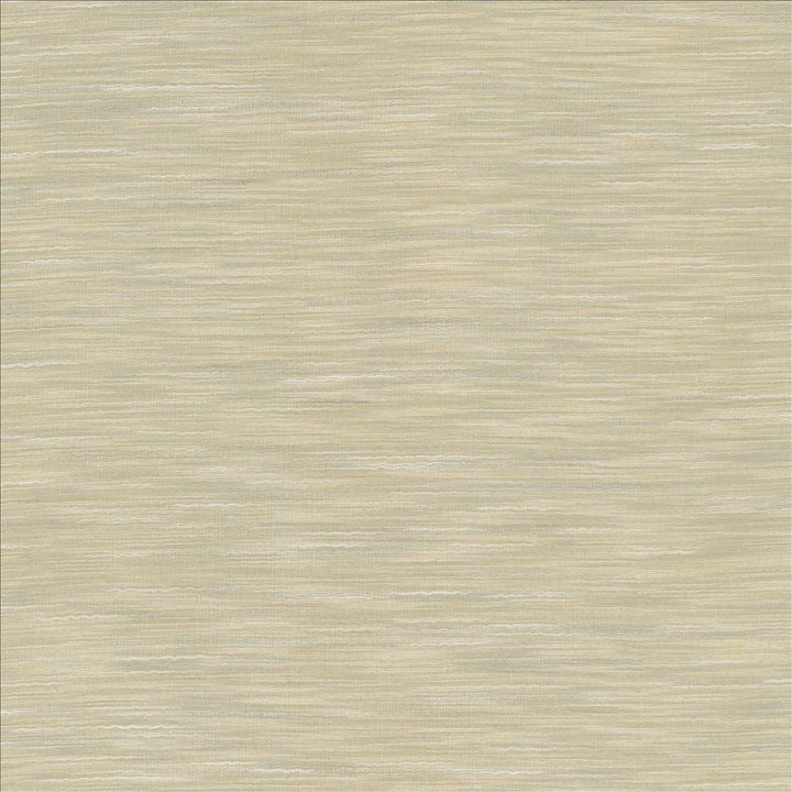 Gainsford Fog by Kasmir Fabric 5060 75% Polyester
25% Viscose
 INDIA </p><p>Repeat: Horizontal: N/A and Vertical: N/A 54 - Fabric Carolina -