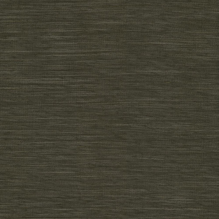 Gainsford Gunmetal by Kasmir Fabric 5060 75% Polyester
25% Viscose
 INDIA </p><p>Repeat: Horizontal: N/A and Vertical: N/A 54 - Fabric Carolina -
