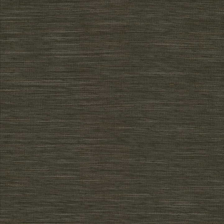 Gainsford Gunmetal by Kasmir Fabric 5060 75% Polyester
25% Viscose
 INDIA Not Tested Horizontal: N/A and Vertical: N/A 54 - Fabric Carolina -